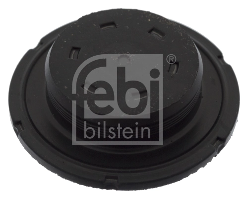 Frost Plug